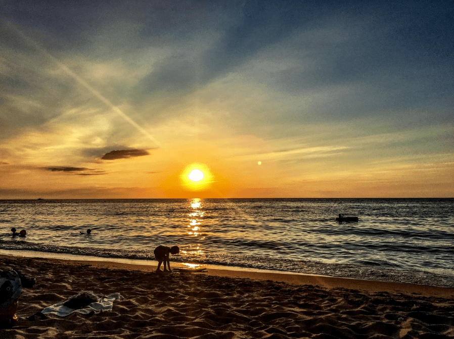 Red Tide Prevention with Clams, in action on Anna Maria Island