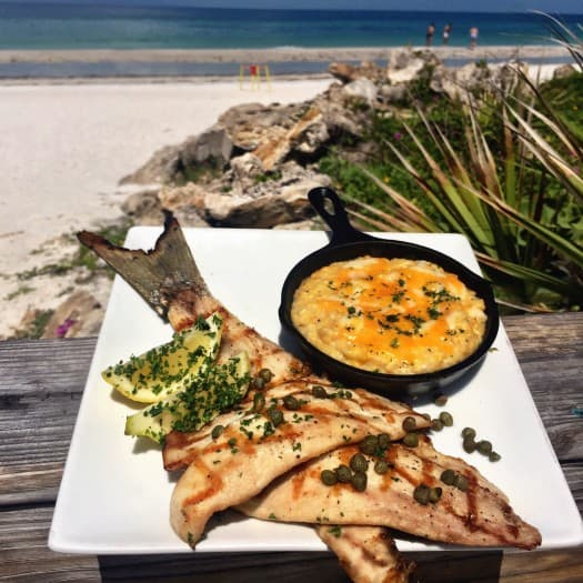 Sunset Dining and Sustainable Fishing Practices. The perfect match on Anna Maria Island