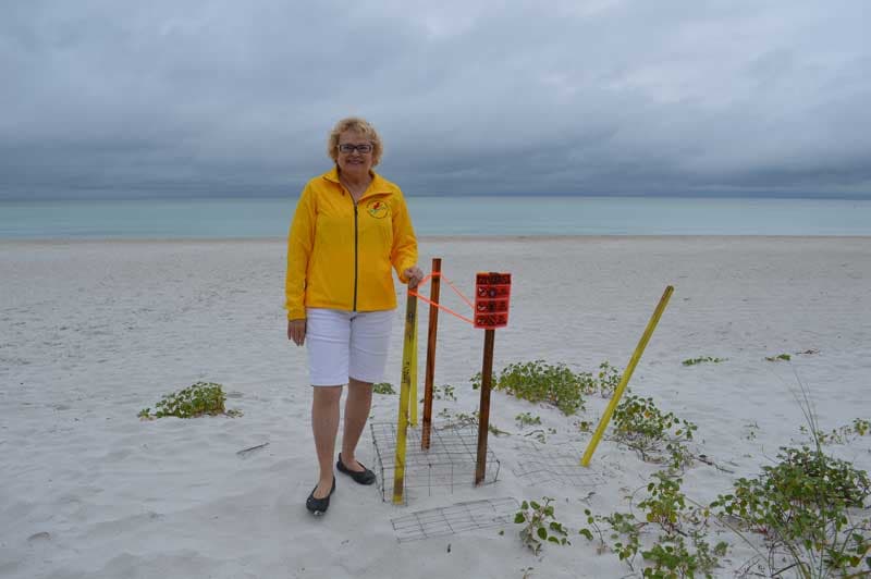 Turtle watchers excited, first nest of season spotted on AMI